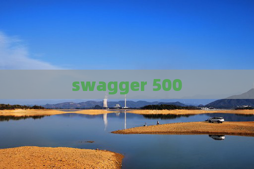 swagger 500